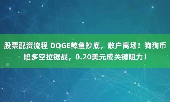 股票配资流程 DOGE鲸鱼抄底，散户离场！狗狗币陷多空拉锯战，0.20美元成关键阻力！