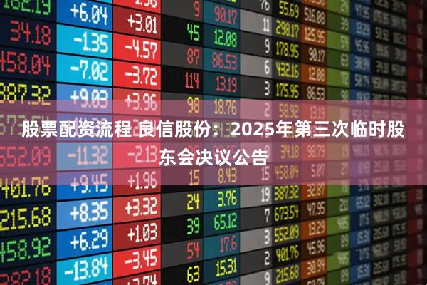 股票配资流程 良信股份：2025年第三次临时股东会决议公告